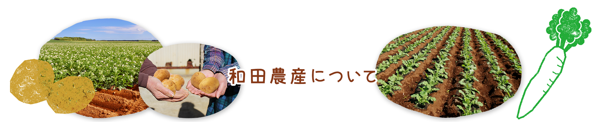 和田農産について
