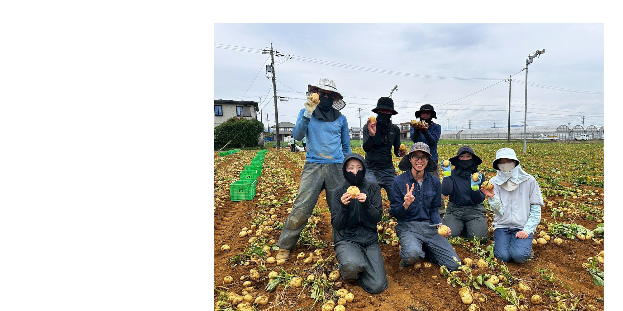 三方原台地の豊かな赤土でじっくり育った、季節の恵み。じゃがいも・大根・芽キャベツを、心を込めて育てています。