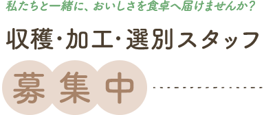 secondmain_ttl